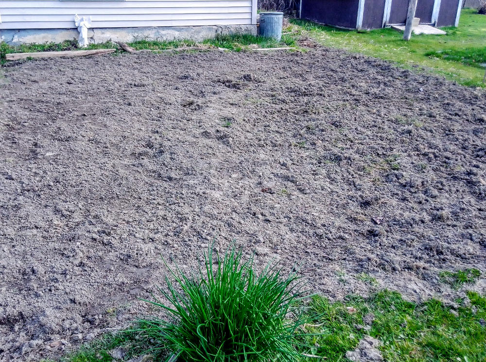 Vegetable garden weeded.