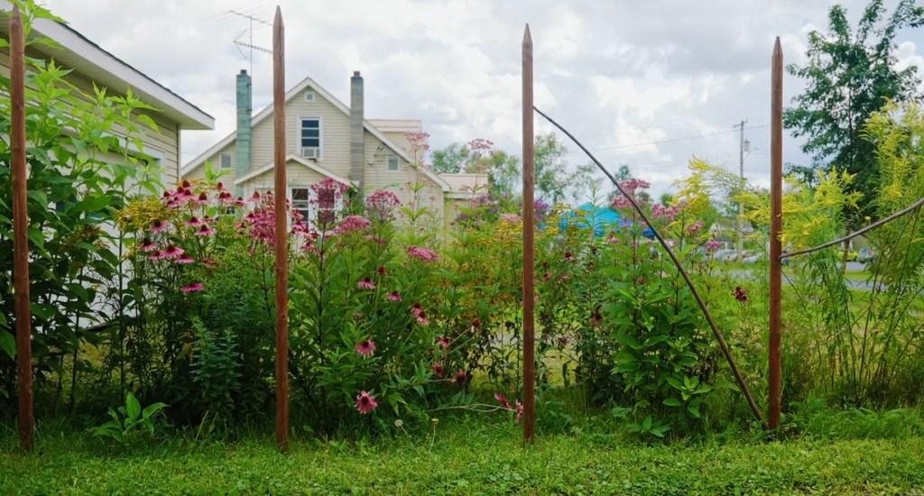 Native flowers in front of house