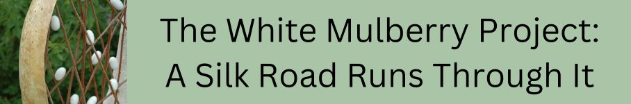 Click BUTTON-Mulberry Project: A Silk Road Runs Through It